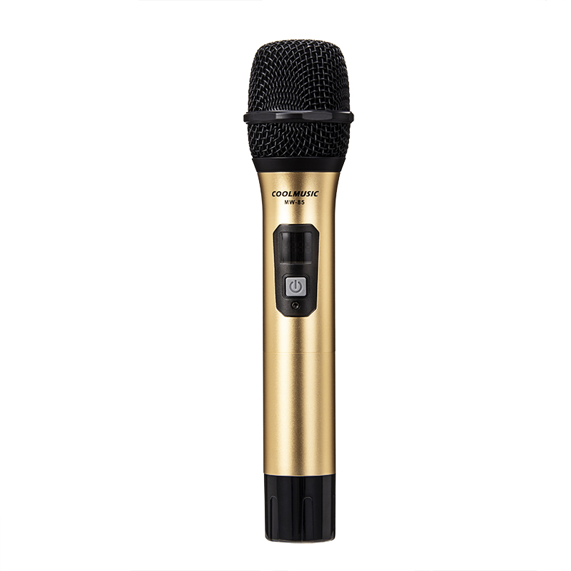 Wireless Microphone