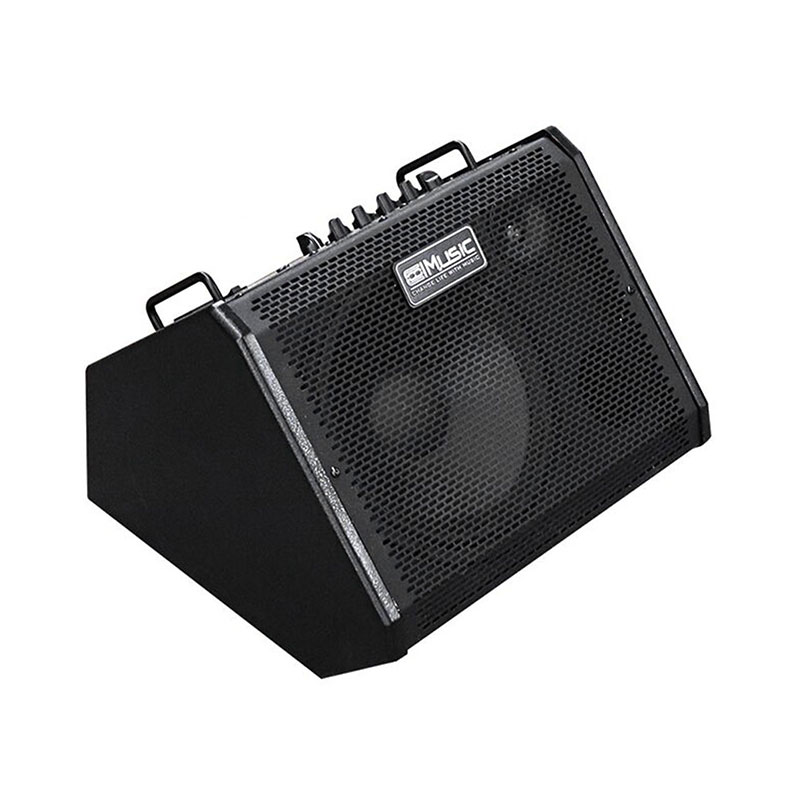 Coolmusic-Amplificateur de moniteur de batterie DM80, haut-parleur